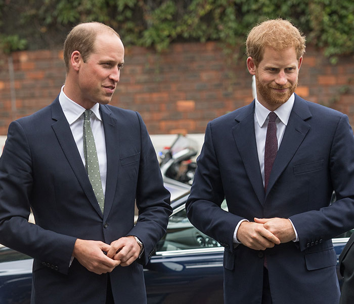 It&rsquo;s Not Just Harry: The Surprising Tension Between King Charles and Prince William