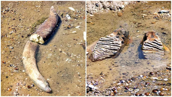 47 Pics Showing Summer Melting And Ruining Everything And Anything