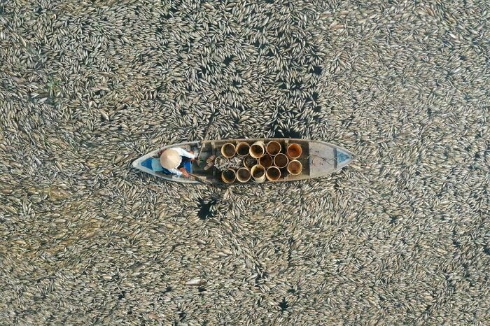 47 Pics Showing Summer Melting And Ruining Everything And Anything