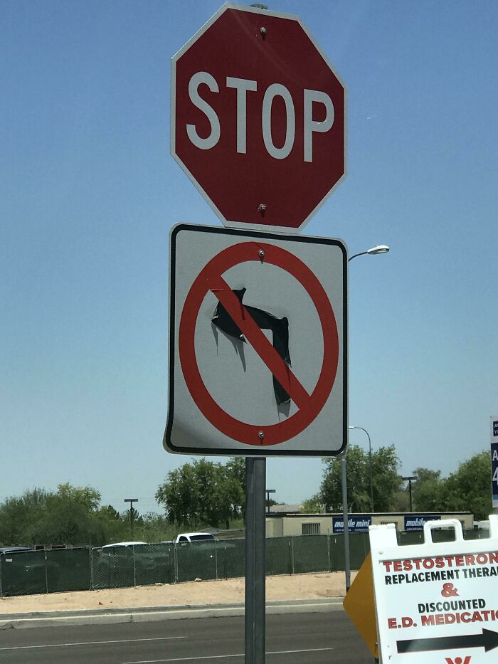 47 Pics Showing Summer Melting And Ruining Everything And Anything