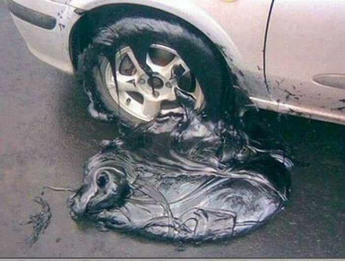 47 Pics Showing Summer Melting And Ruining Everything And Anything