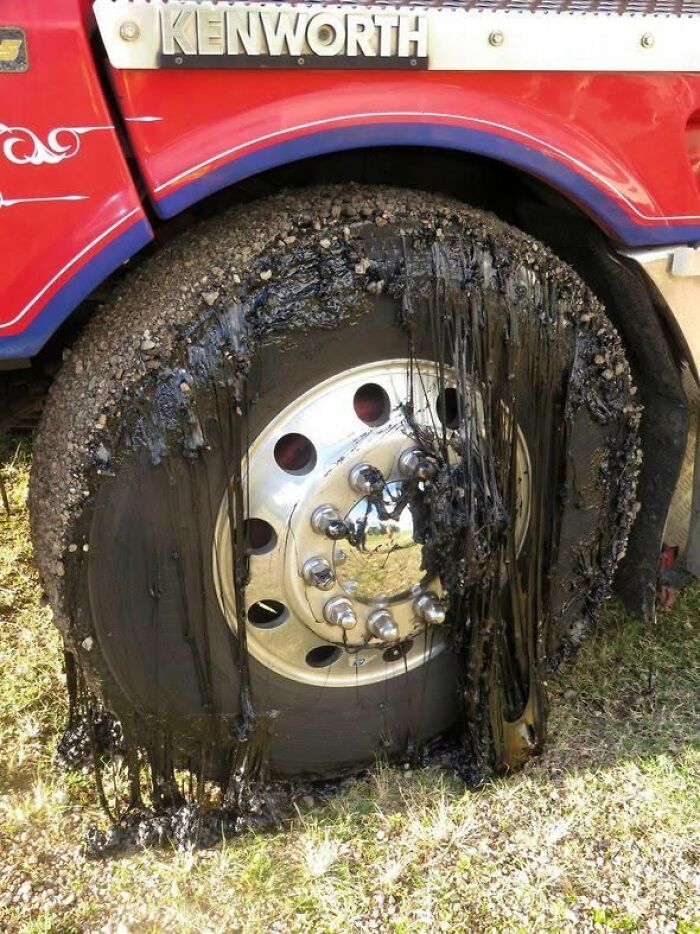 47 Pics Showing Summer Melting And Ruining Everything And Anything