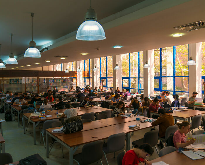 American Mom Compares “Next-Level” Kid’s School Lunch In France to USA, Experts Weigh In American Mom Compares “Next-Level” Kid’s School Lunch In France to USA, Experts Weigh In