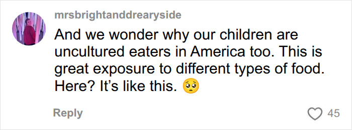 American Mom Compares “Next-Level” Kid’s School Lunch In France to USA, Experts Weigh In American Mom Compares “Next-Level” Kid’s School Lunch In France to USA, Experts Weigh In