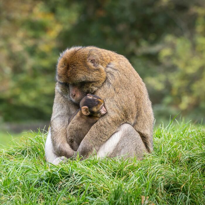 This Page Shared 40 Animal Photos Capturing Funny And Heartwarming Moments In The Wild This Page Shared 40 Animal Photos Capturing Funny And Heartwarming Moments In The Wild
