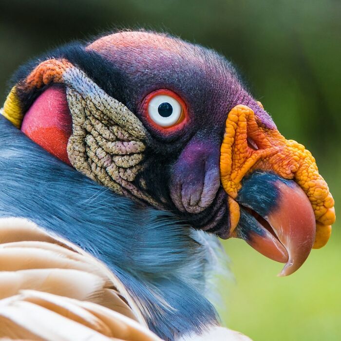 This Page Shared 40 Animal Photos Capturing Funny And Heartwarming Moments In The Wild This Page Shared 40 Animal Photos Capturing Funny And Heartwarming Moments In The Wild