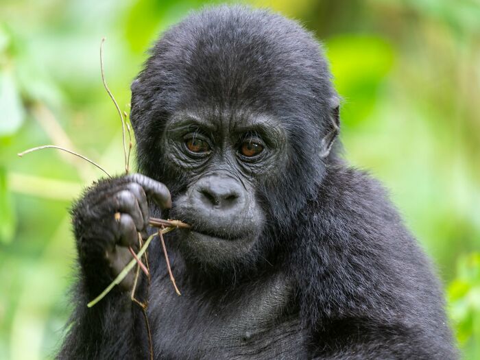 This Page Shared 40 Animal Photos Capturing Funny And Heartwarming Moments In The Wild This Page Shared 40 Animal Photos Capturing Funny And Heartwarming Moments In The Wild