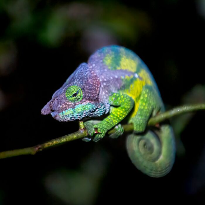 This Page Shared 40 Animal Photos Capturing Funny And Heartwarming Moments In The Wild This Page Shared 40 Animal Photos Capturing Funny And Heartwarming Moments In The Wild