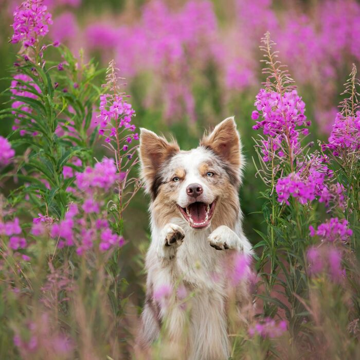 This Page Shared 40 Animal Photos Capturing Funny And Heartwarming Moments In The Wild This Page Shared 40 Animal Photos Capturing Funny And Heartwarming Moments In The Wild