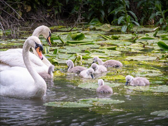 This Page Shared 40 Animal Photos Capturing Funny And Heartwarming Moments In The Wild This Page Shared 40 Animal Photos Capturing Funny And Heartwarming Moments In The Wild