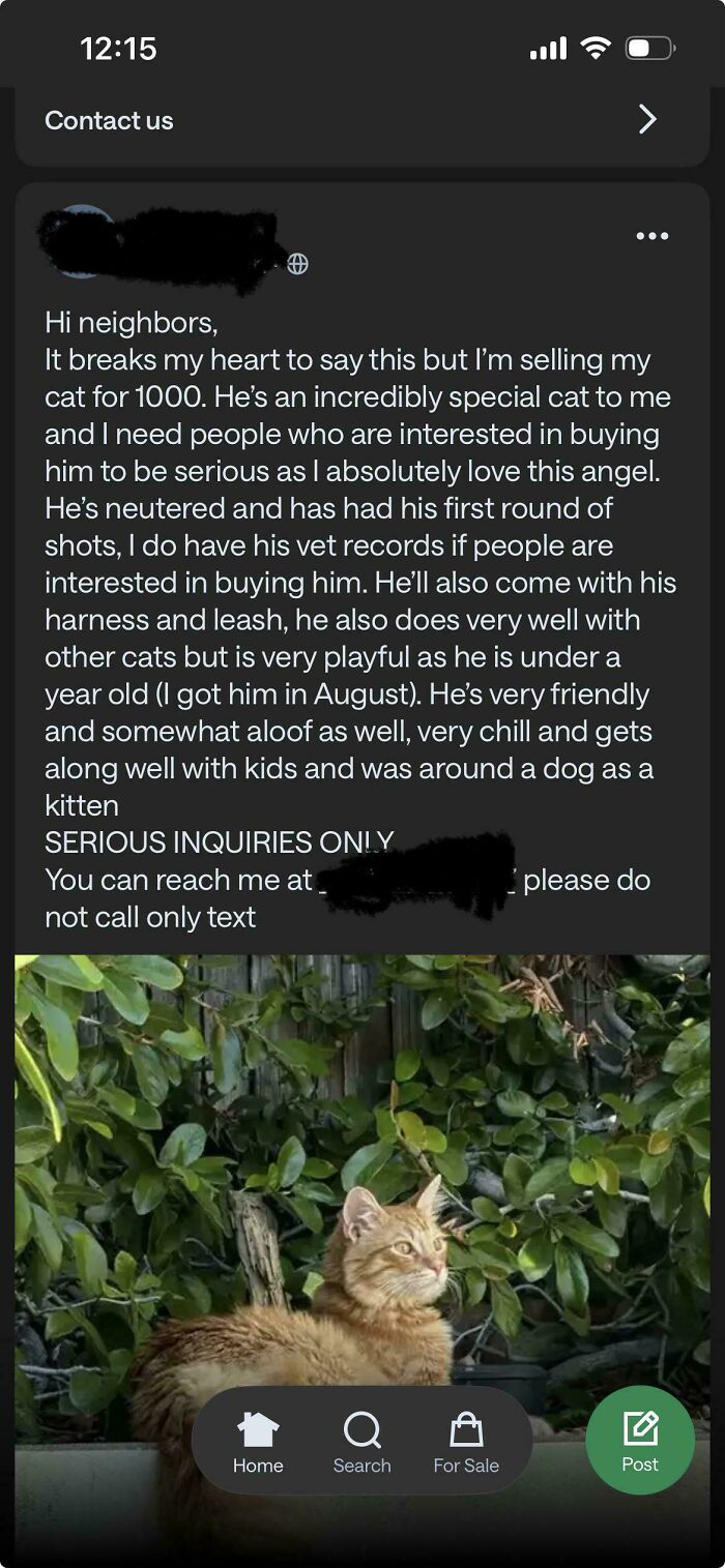 73 Wild Screenshots From People&rsquo;s Neighborhood Online Communities That Are Absolutely Hilarious (New Pics)