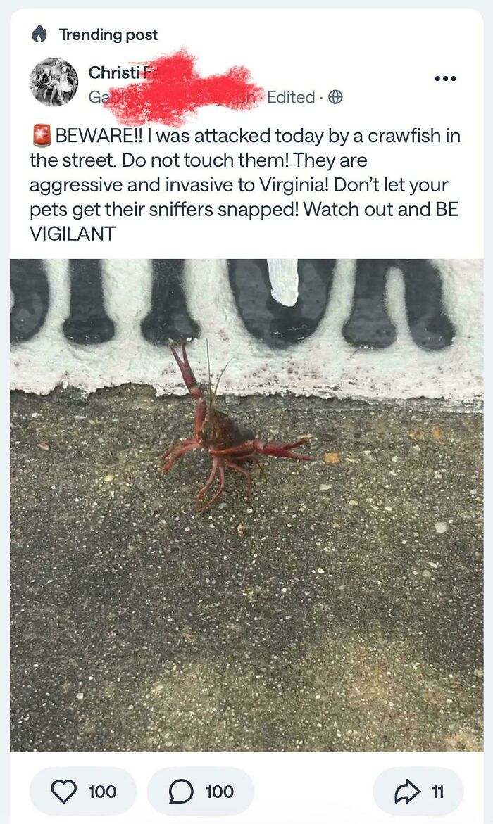 73 Wild Screenshots From People&rsquo;s Neighborhood Online Communities That Are Absolutely Hilarious (New Pics)