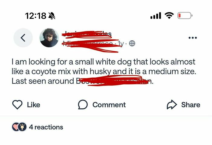 73 Wild Screenshots From People&rsquo;s Neighborhood Online Communities That Are Absolutely Hilarious (New Pics)