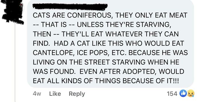 93 Dumb People Who Should&rsquo;ve Stayed Off The Internet And Nobody Would&rsquo;ve Known About Their Low IQ