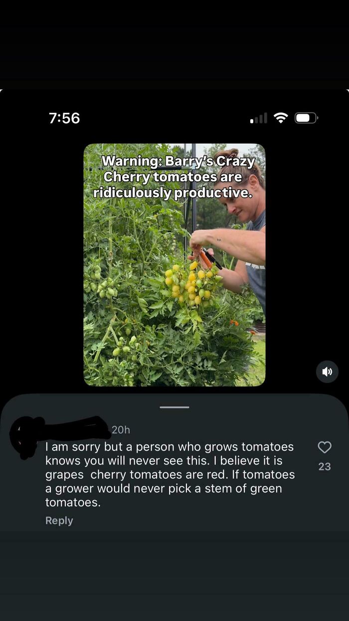 93 Dumb People Who Should&rsquo;ve Stayed Off The Internet And Nobody Would&rsquo;ve Known About Their Low IQ