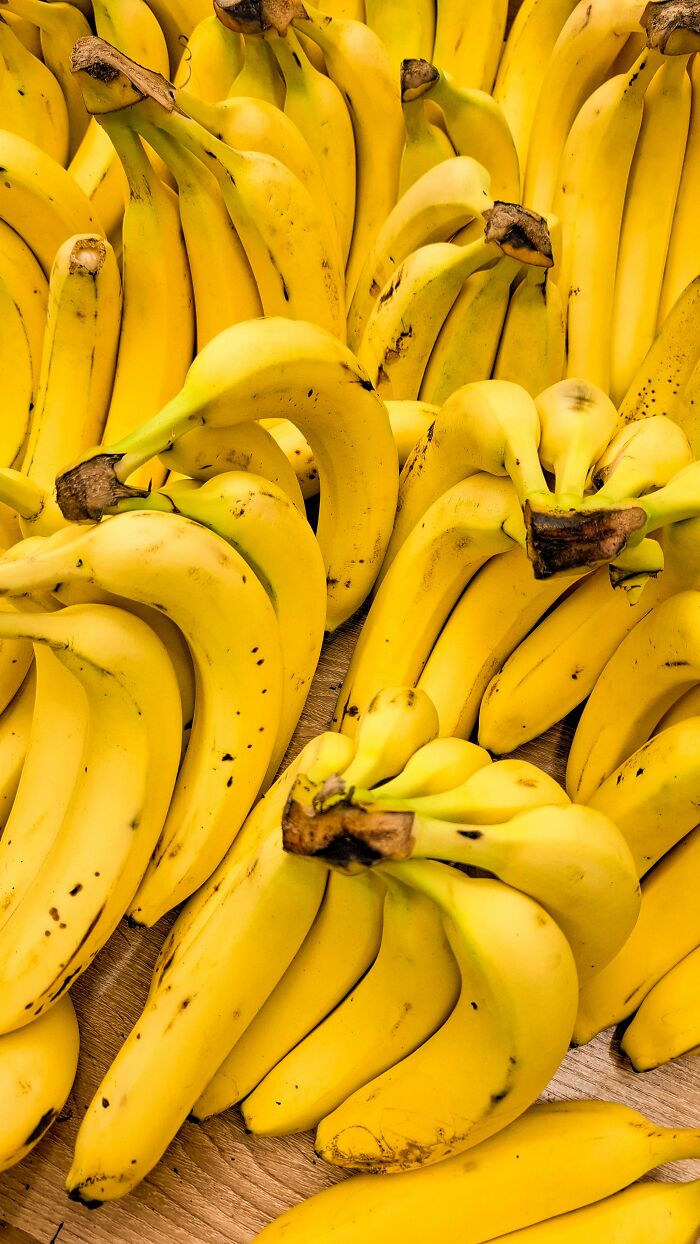 If Your Daily Routine Includes Learning Something New, Here Are 65 Facts You Might Have Missed If Your Daily Routine Includes Learning Something New, Here Are 65 Facts You Might Have Missed