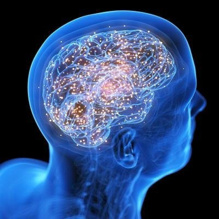 If Your Daily Routine Includes Learning Something New, Here Are 65 Facts You Might Have Missed If Your Daily Routine Includes Learning Something New, Here Are 65 Facts You Might Have Missed
