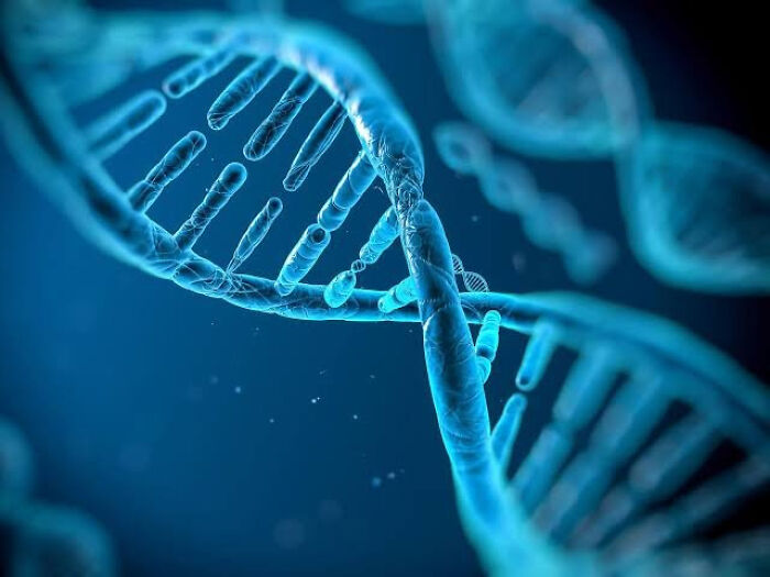 If Your Daily Routine Includes Learning Something New, Here Are 65 Facts You Might Have Missed If Your Daily Routine Includes Learning Something New, Here Are 65 Facts You Might Have Missed
