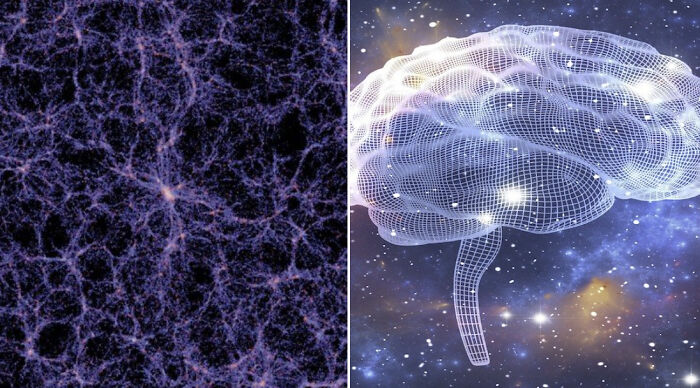 If Your Daily Routine Includes Learning Something New, Here Are 65 Facts You Might Have Missed If Your Daily Routine Includes Learning Something New, Here Are 65 Facts You Might Have Missed