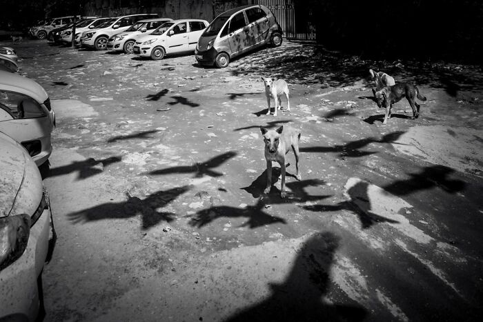 56 Of The Best Street Photos From The 2026 URBAN Photo Awards 56 Of The Best Street Photos From The 2026 URBAN Photo Awards