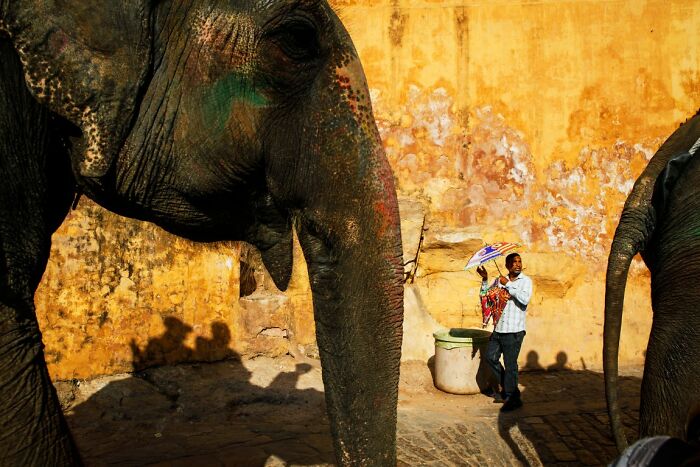 56 Of The Best Street Photos From The 2026 URBAN Photo Awards 56 Of The Best Street Photos From The 2026 URBAN Photo Awards