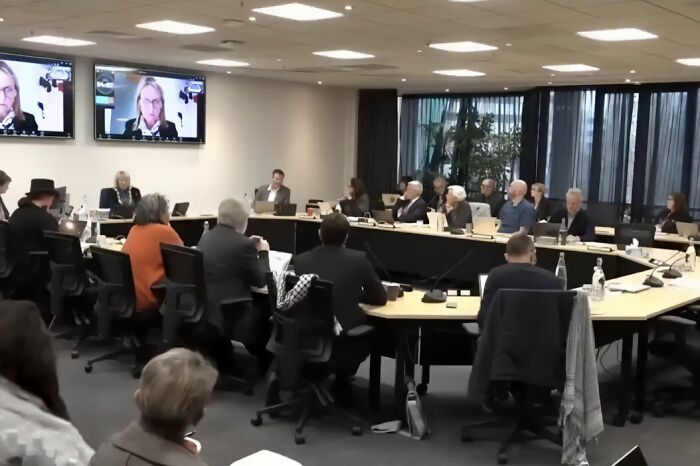 Politician Caught In Awkward Scandal After Constituents Notice Her Background In Livestreamed Meeting Politician Caught In Awkward Scandal After Constituents Notice Her Background In Livestreamed Meeting