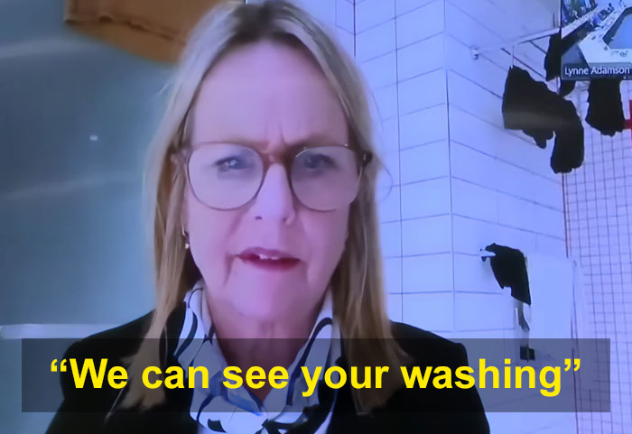 Politician Caught In Awkward Scandal After Constituents Notice Her Background In Livestreamed Meeting Politician Caught In Awkward Scandal After Constituents Notice Her Background In Livestreamed Meeting