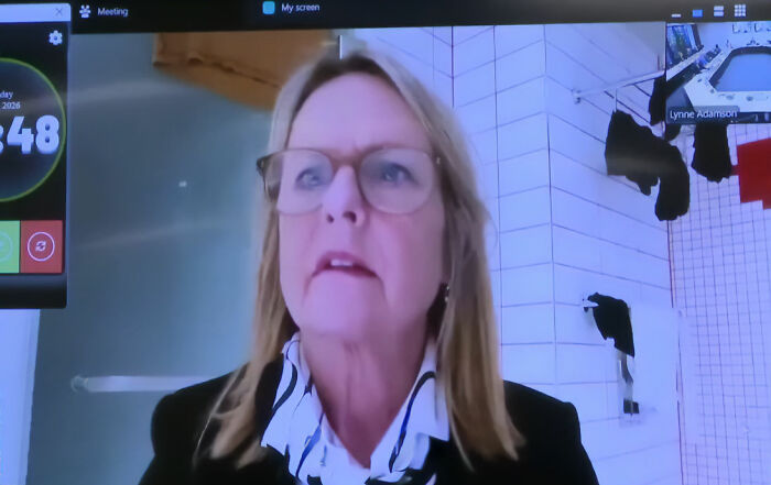 Politician Caught In Awkward Scandal After Constituents Notice Her Background In Livestreamed Meeting Politician Caught In Awkward Scandal After Constituents Notice Her Background In Livestreamed Meeting