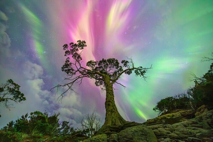 The 23 Most Breathtaking Images From The 2026 David Malin Astrophotography Awards The 23 Most Breathtaking Images From The 2026 David Malin Astrophotography Awards
