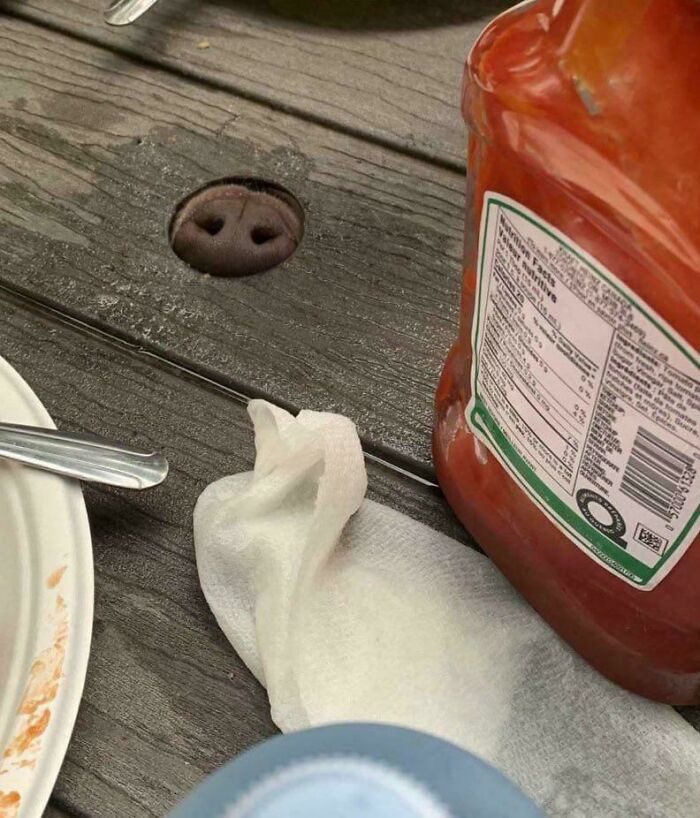 66 Photos Of Peculiar Things People Spotted In Real Life And Then Shared Online (New Pics) 66 Photos Of Peculiar Things People Spotted In Real Life And Then Shared Online (New Pics)
