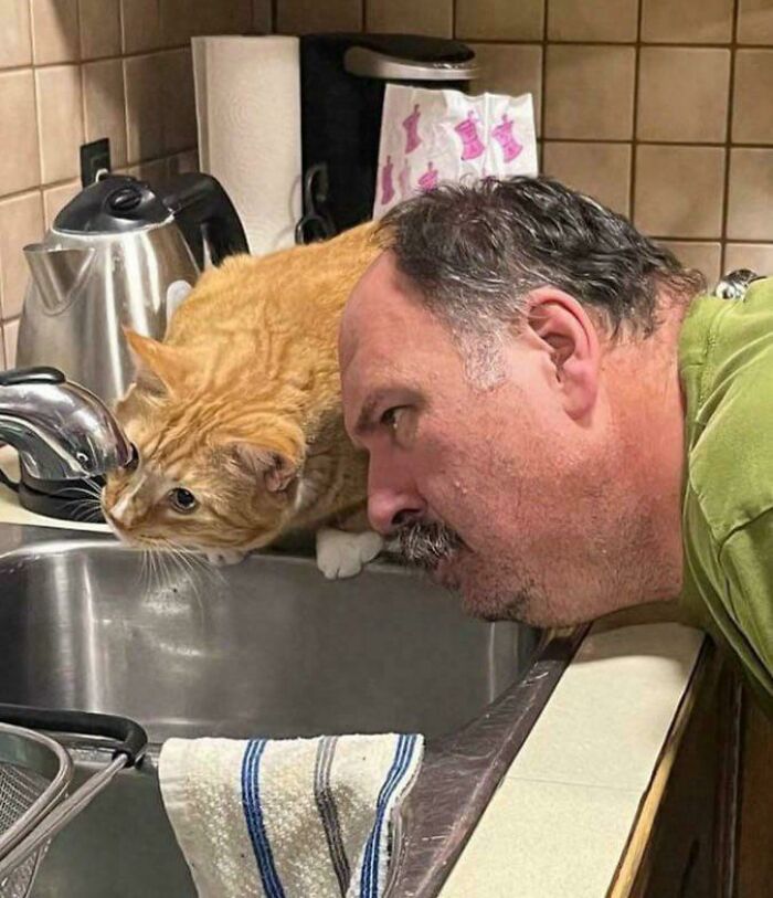 66 Photos Of Peculiar Things People Spotted In Real Life And Then Shared Online (New Pics) 66 Photos Of Peculiar Things People Spotted In Real Life And Then Shared Online (New Pics)