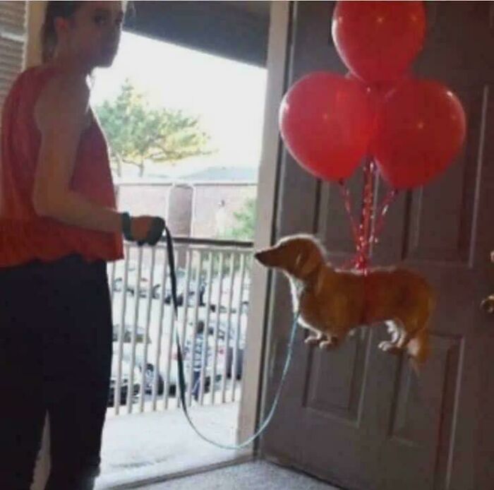 66 Photos Of Peculiar Things People Spotted In Real Life And Then Shared Online (New Pics) 66 Photos Of Peculiar Things People Spotted In Real Life And Then Shared Online (New Pics)