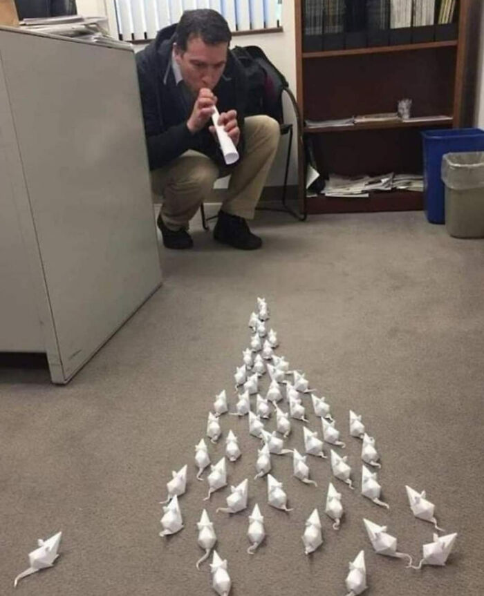 66 Photos Of Peculiar Things People Spotted In Real Life And Then Shared Online (New Pics) 66 Photos Of Peculiar Things People Spotted In Real Life And Then Shared Online (New Pics)