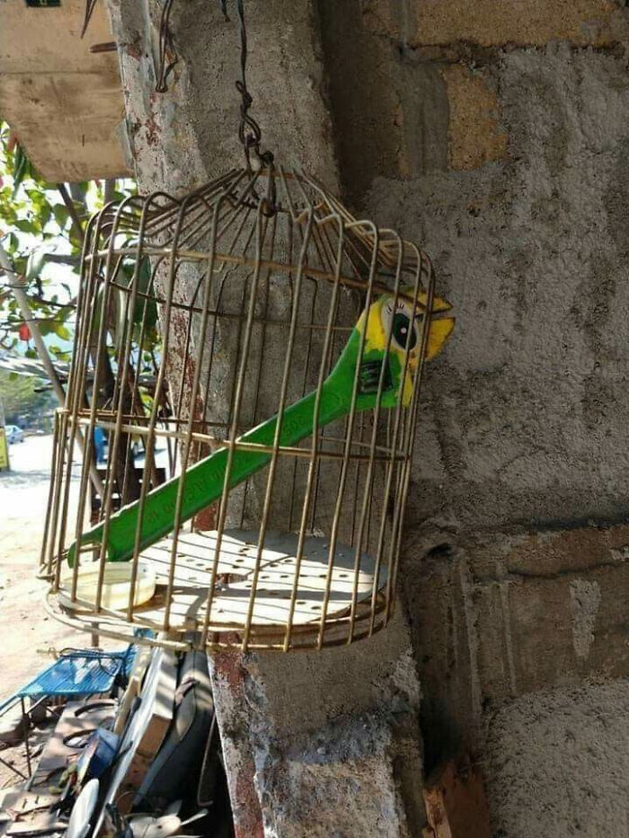 66 Photos Of Peculiar Things People Spotted In Real Life And Then Shared Online (New Pics) 66 Photos Of Peculiar Things People Spotted In Real Life And Then Shared Online (New Pics)