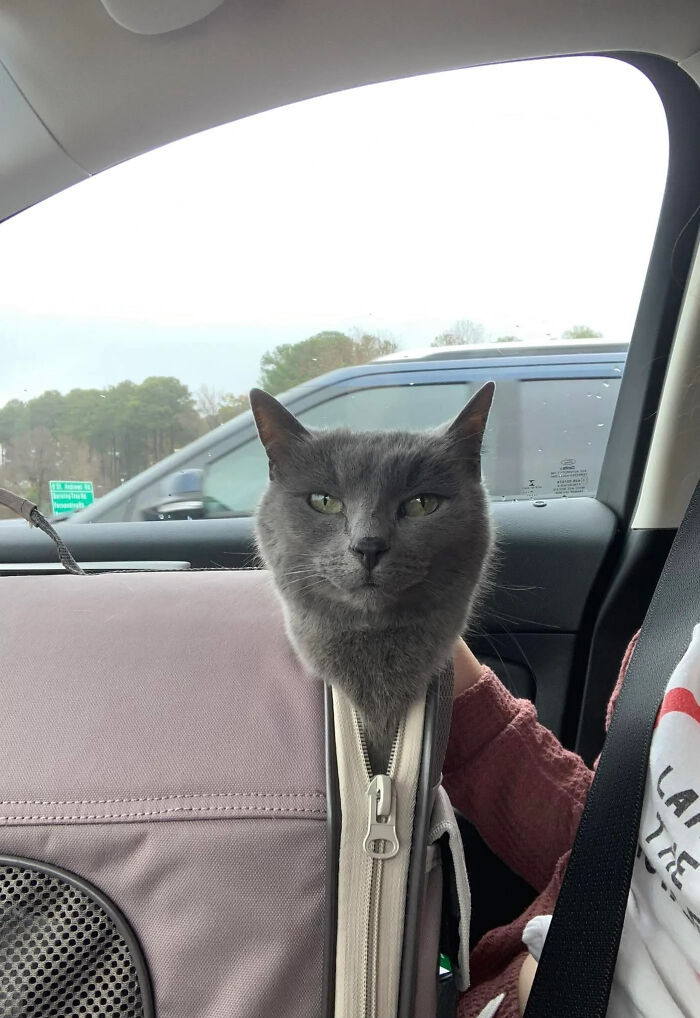 66 Photos Of Peculiar Things People Spotted In Real Life And Then Shared Online (New Pics) 66 Photos Of Peculiar Things People Spotted In Real Life And Then Shared Online (New Pics)