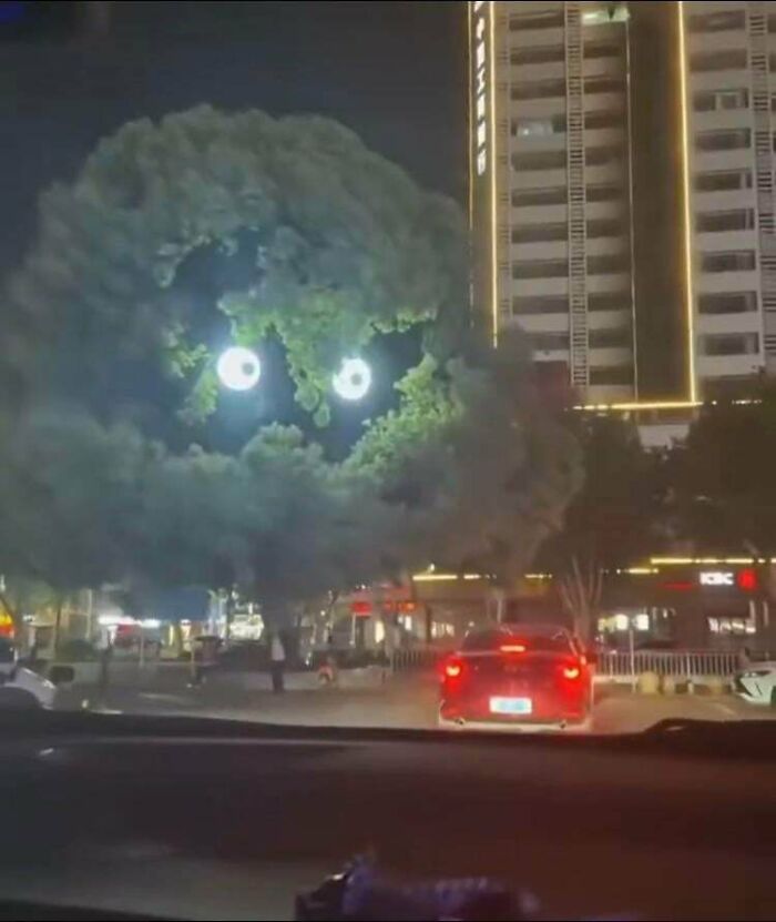 66 Photos Of Peculiar Things People Spotted In Real Life And Then Shared Online (New Pics) 66 Photos Of Peculiar Things People Spotted In Real Life And Then Shared Online (New Pics)