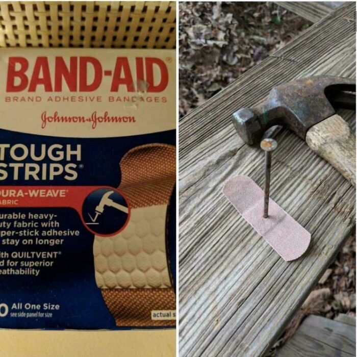 66 Photos Of Peculiar Things People Spotted In Real Life And Then Shared Online (New Pics) 66 Photos Of Peculiar Things People Spotted In Real Life And Then Shared Online (New Pics)
