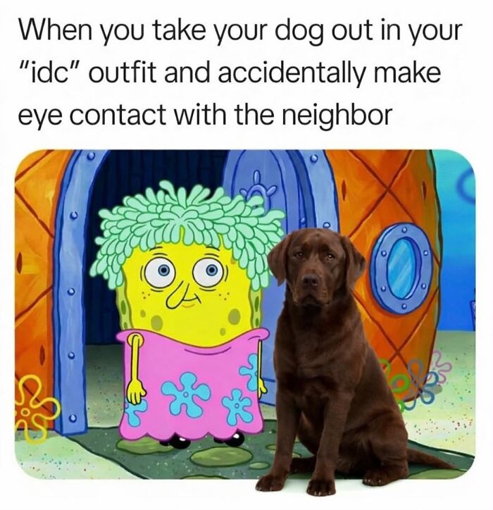38 Memes That Are Hilarious As They Take Inspiration From Real Life 38 Memes That Are Hilarious As They Take Inspiration From Real Life
