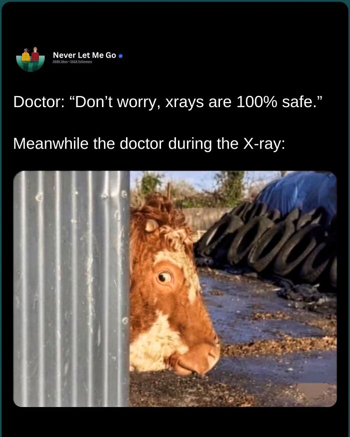 38 Memes That Are Hilarious As They Take Inspiration From Real Life 38 Memes That Are Hilarious As They Take Inspiration From Real Life