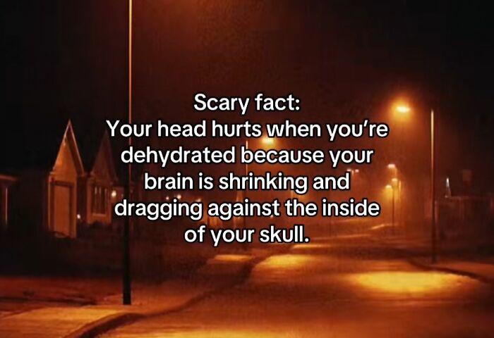 54 Scary Facts And Creepy Stories To See You Through Another Sleepless Night 54 Scary Facts And Creepy Stories To See You Through Another Sleepless Night