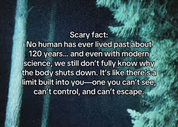 54 Scary Facts And Creepy Stories To See You Through Another Sleepless Night 54 Scary Facts And Creepy Stories To See You Through Another Sleepless Night