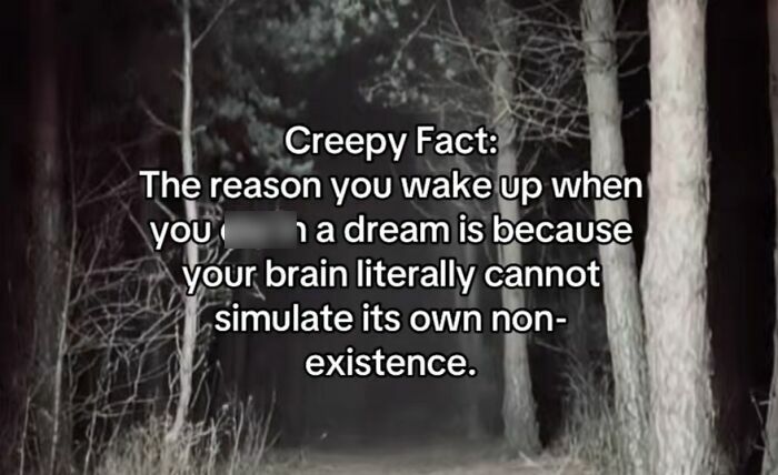 54 Scary Facts And Creepy Stories To See You Through Another Sleepless Night 54 Scary Facts And Creepy Stories To See You Through Another Sleepless Night