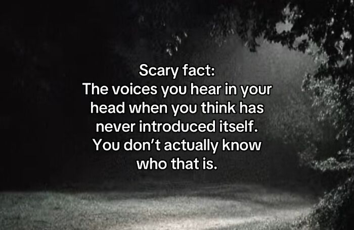 54 Scary Facts And Creepy Stories To See You Through Another Sleepless Night 54 Scary Facts And Creepy Stories To See You Through Another Sleepless Night