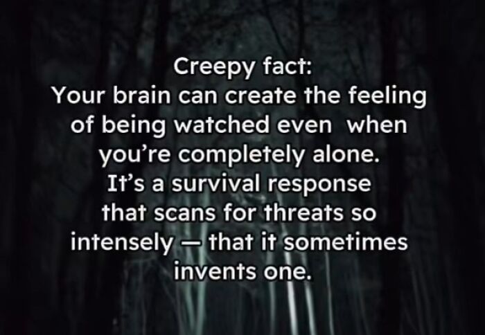 54 Scary Facts And Creepy Stories To See You Through Another Sleepless Night 54 Scary Facts And Creepy Stories To See You Through Another Sleepless Night