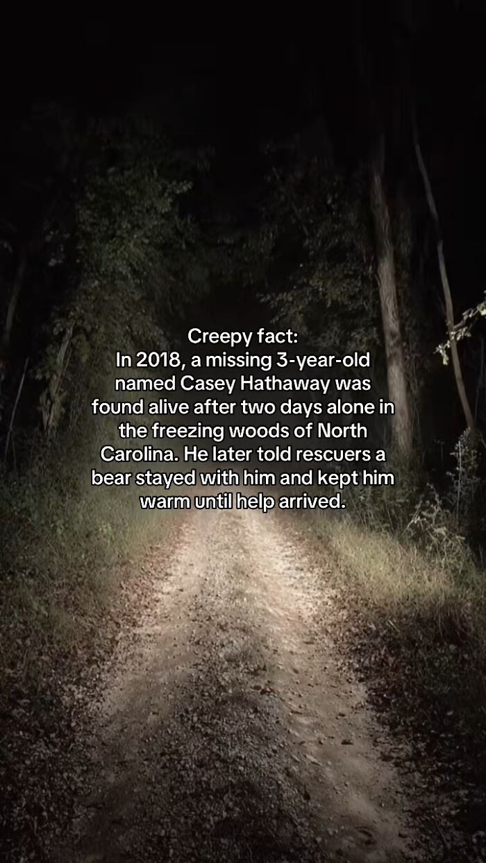 54 Scary Facts And Creepy Stories To See You Through Another Sleepless Night 54 Scary Facts And Creepy Stories To See You Through Another Sleepless Night