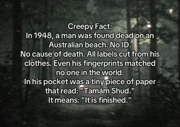 54 Scary Facts And Creepy Stories To See You Through Another Sleepless Night 54 Scary Facts And Creepy Stories To See You Through Another Sleepless Night