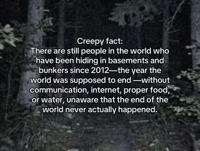 54 Scary Facts And Creepy Stories To See You Through Another Sleepless Night 54 Scary Facts And Creepy Stories To See You Through Another Sleepless Night