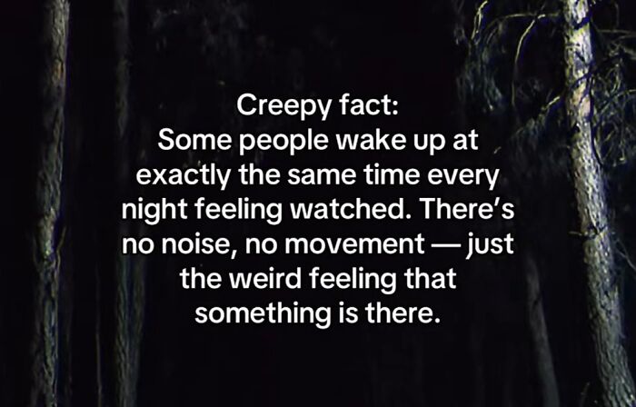 54 Scary Facts And Creepy Stories To See You Through Another Sleepless Night 54 Scary Facts And Creepy Stories To See You Through Another Sleepless Night