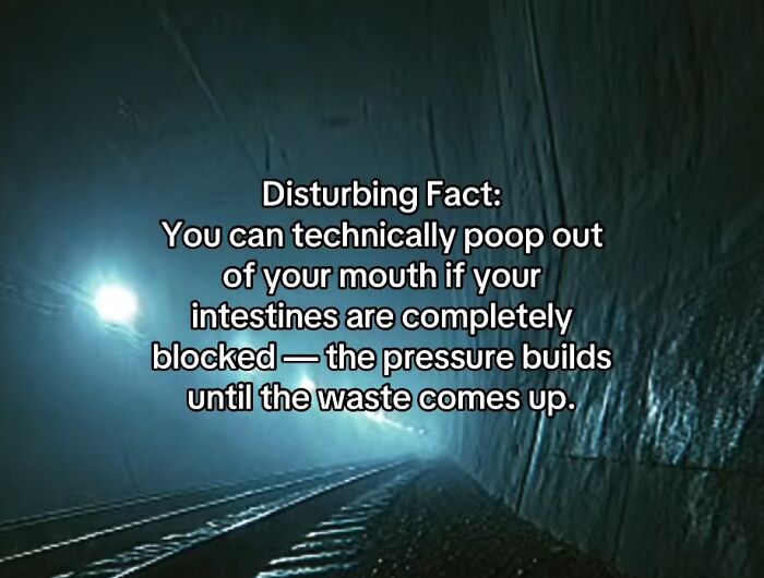 54 Scary Facts And Creepy Stories To See You Through Another Sleepless Night 54 Scary Facts And Creepy Stories To See You Through Another Sleepless Night