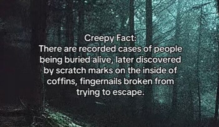 54 Scary Facts And Creepy Stories To See You Through Another Sleepless Night 54 Scary Facts And Creepy Stories To See You Through Another Sleepless Night